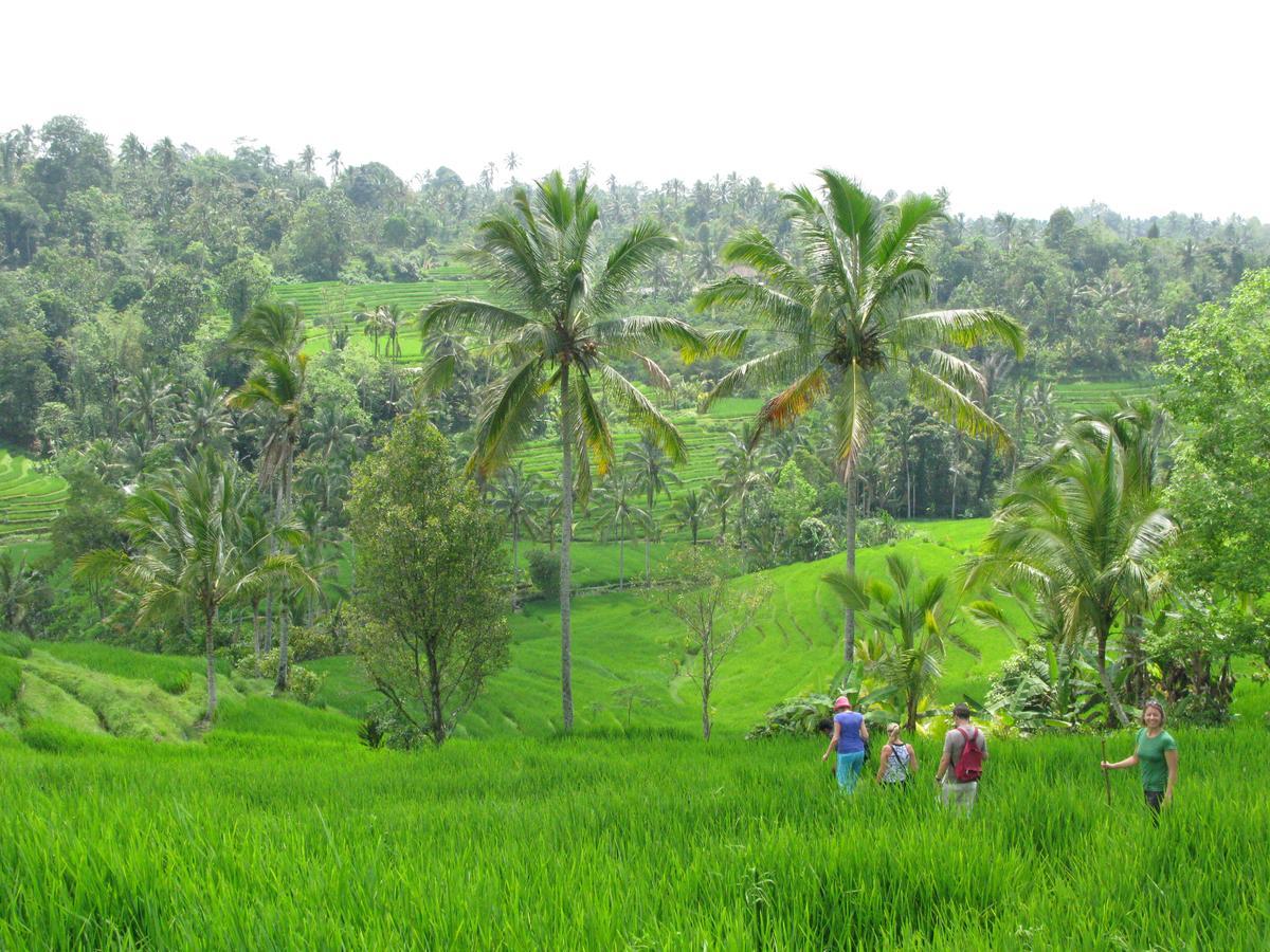 Prana Dewi Mountain Resort Jatiluwih Dış mekan fotoğraf