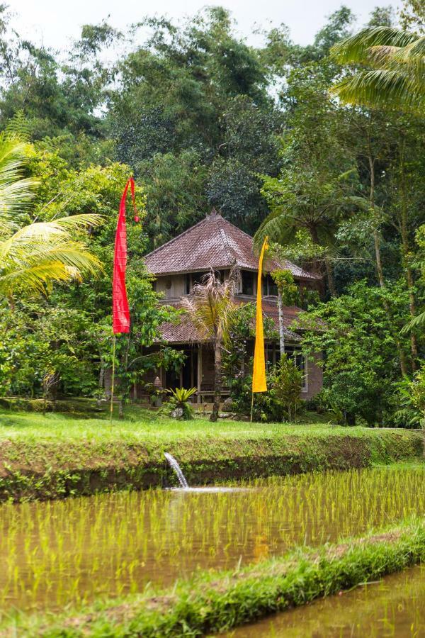Prana Dewi Mountain Resort Jatiluwih Dış mekan fotoğraf