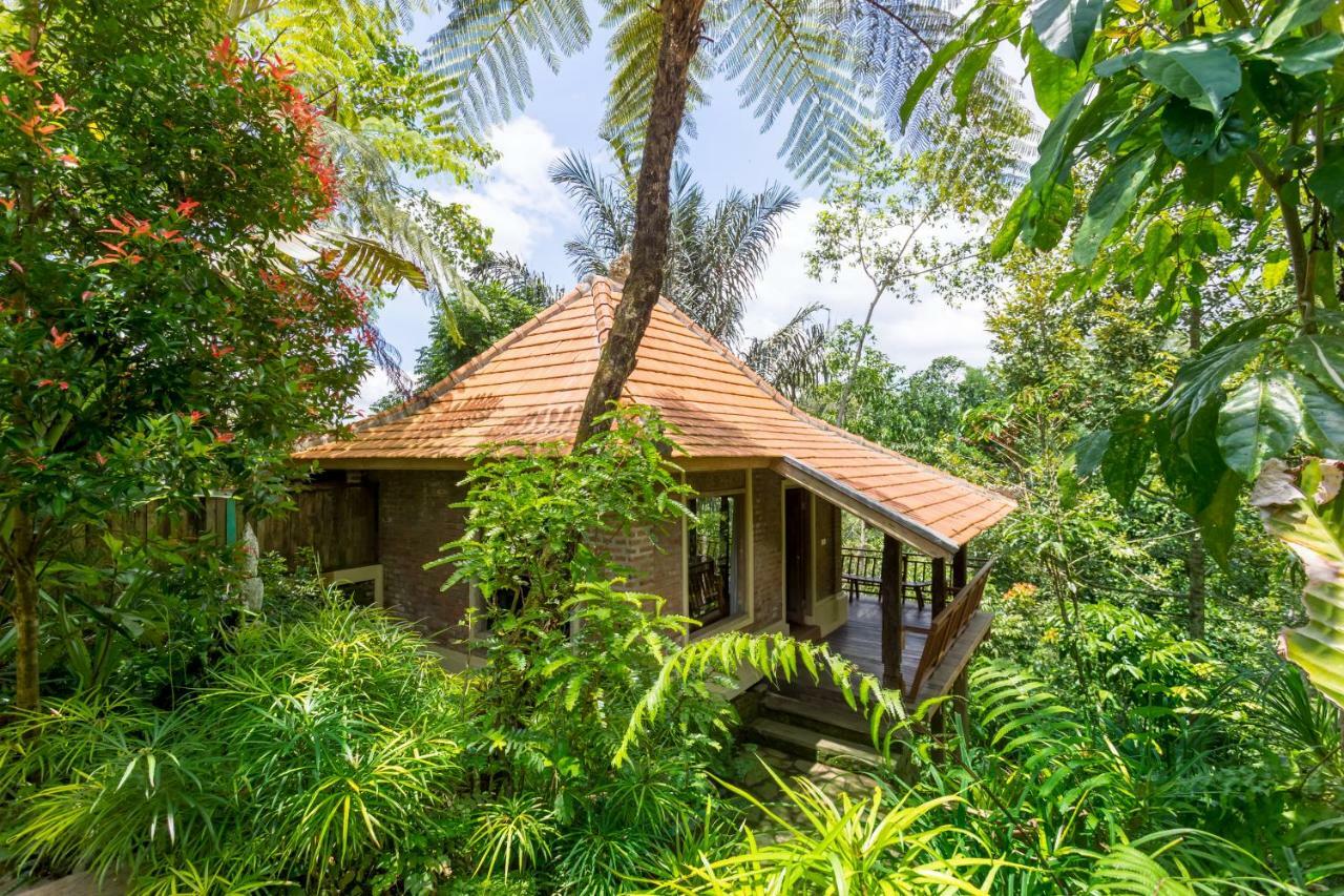 Prana Dewi Mountain Resort Jatiluwih Oda fotoğraf